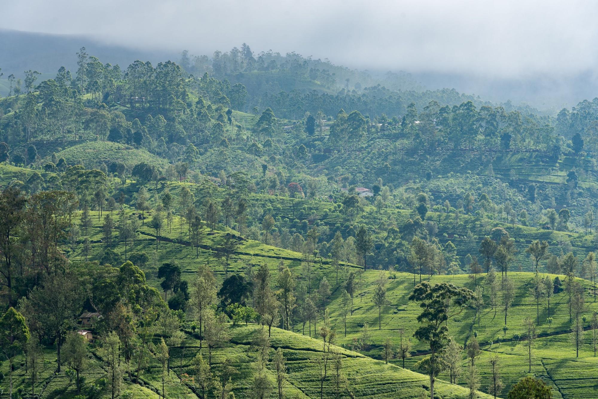Langdale Boutique Hotel By Amaya Nuwara Eliya Luaran gambar
