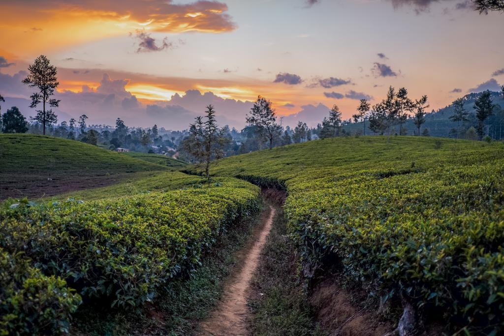 Langdale Boutique Hotel By Amaya Nuwara Eliya Luaran gambar
